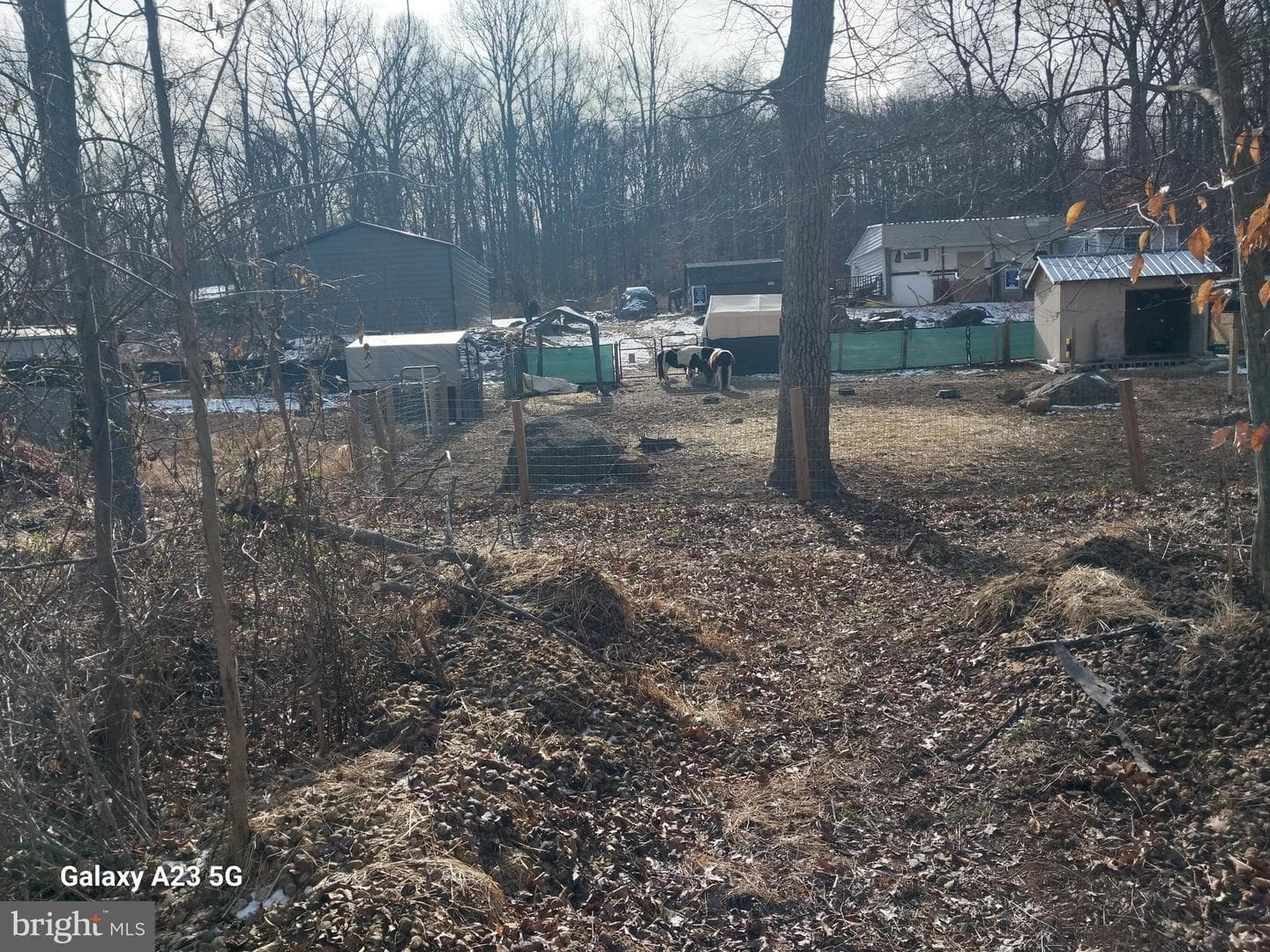 8065 Bull Road photo 28