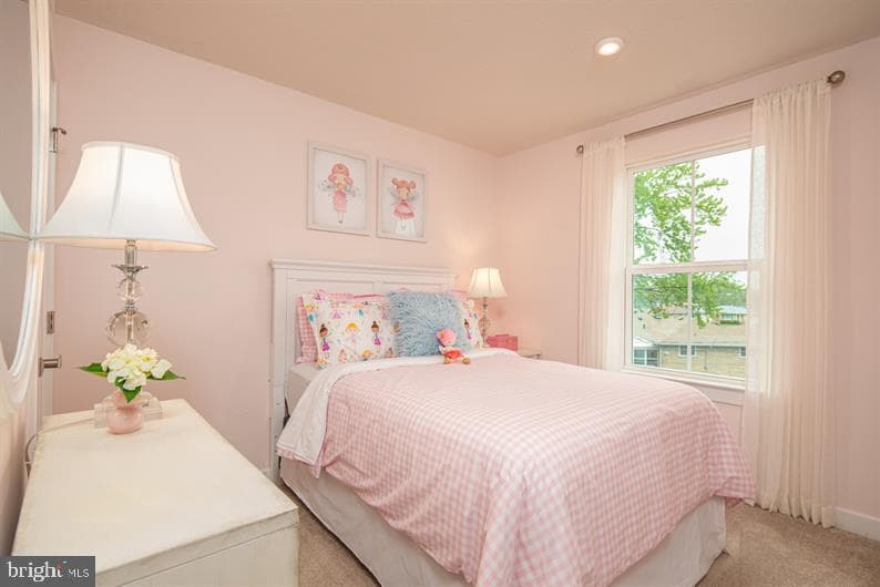 338 Ruffian Road photo 13