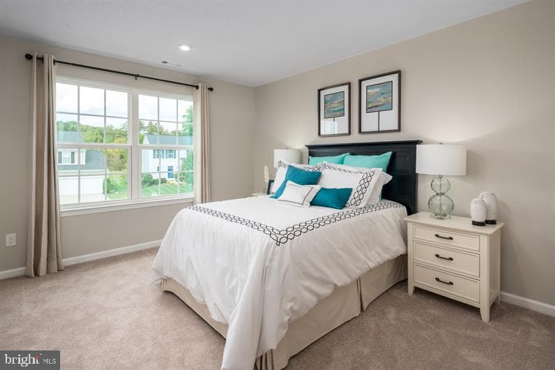 338 Ruffian Road photo 16