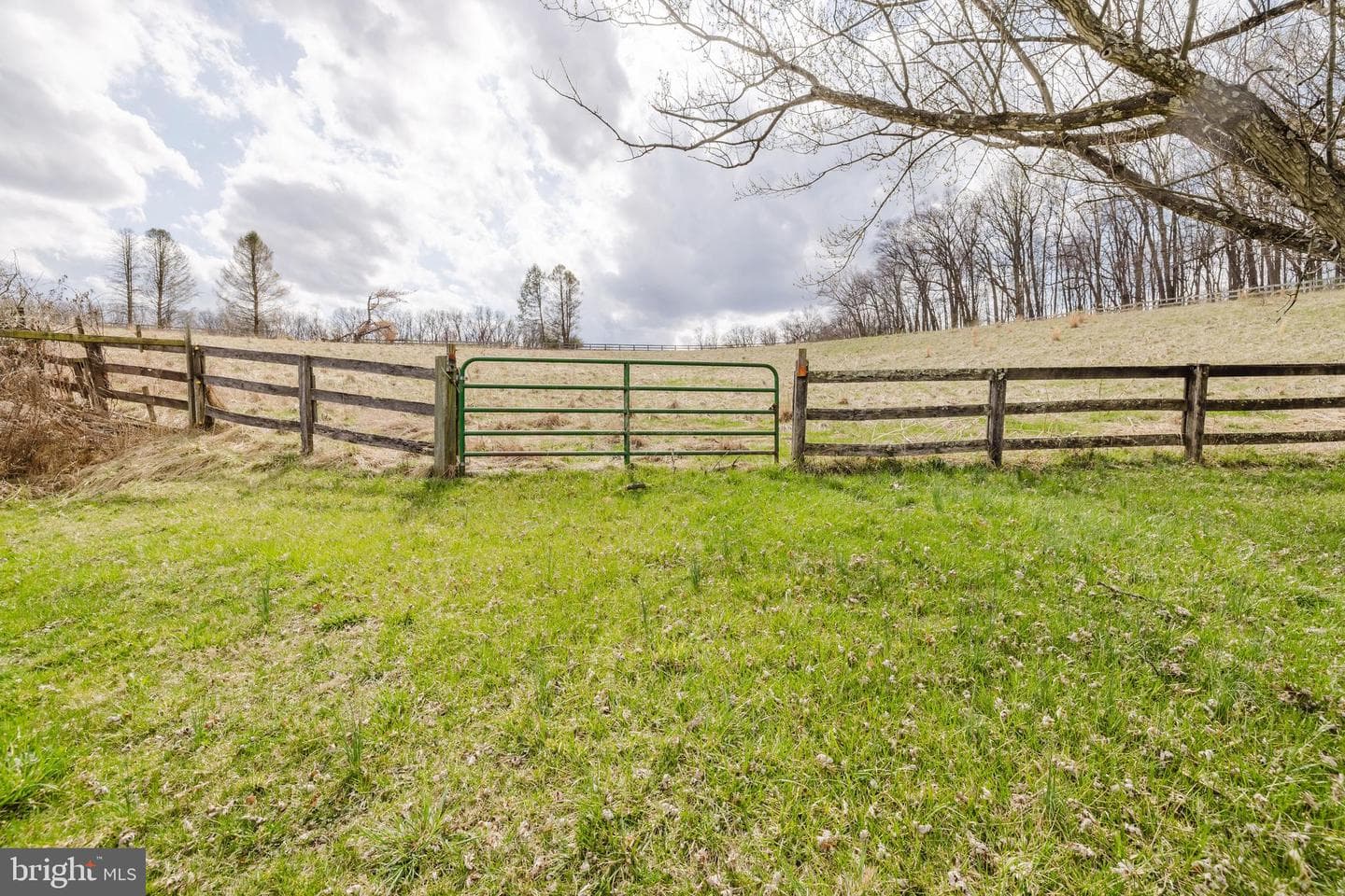 1568 Deer Creek Road photo 76