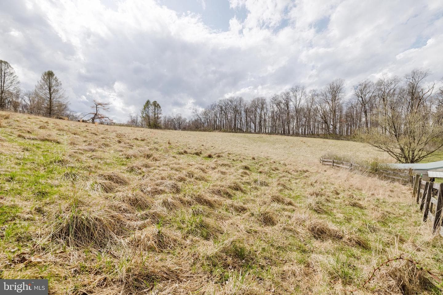 1568 Deer Creek Road photo 77