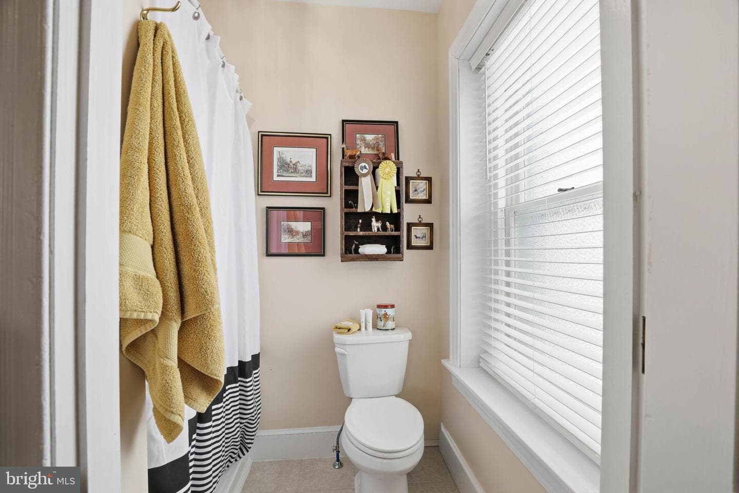 252 Frederick Street photo 51
