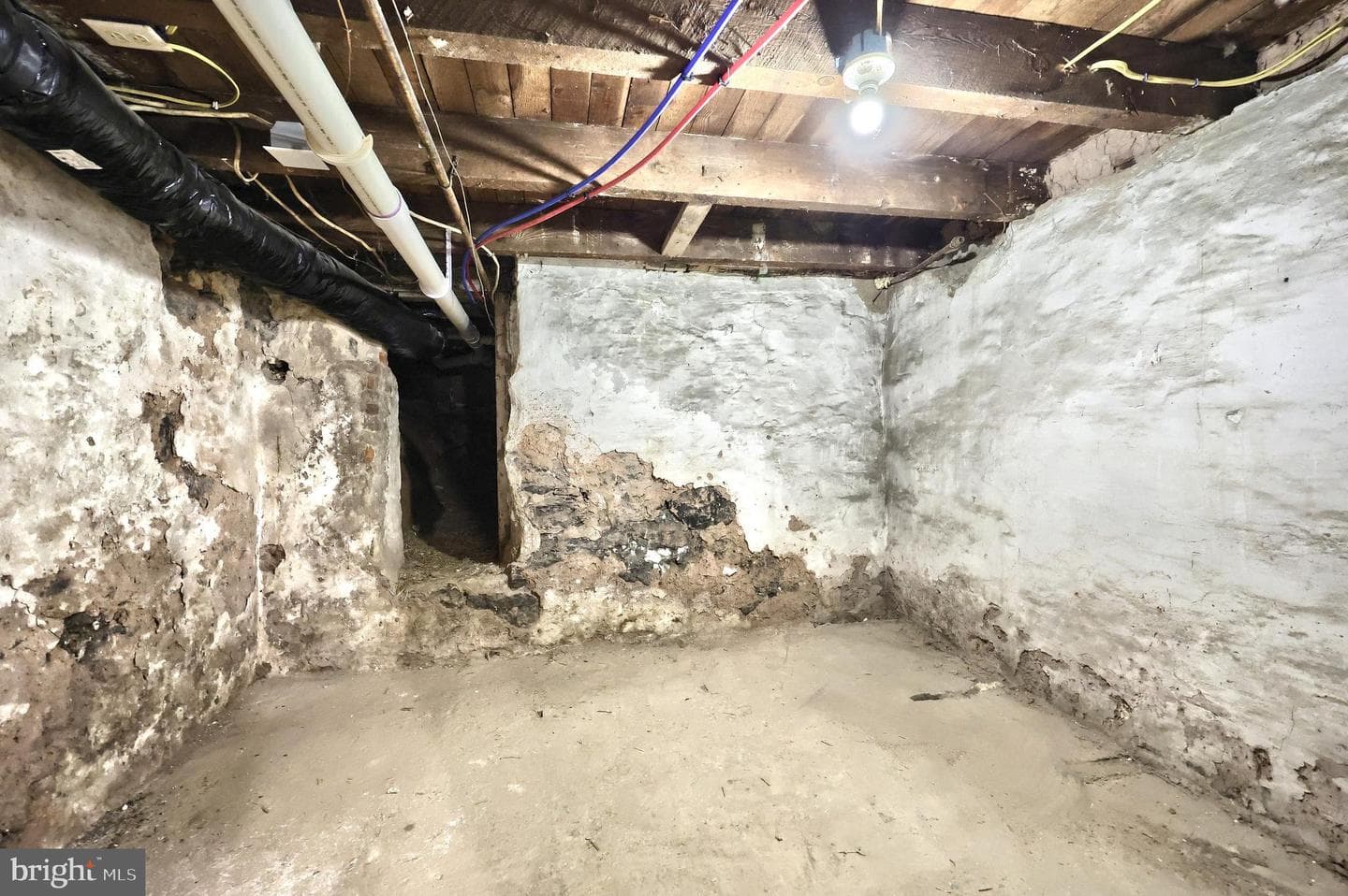 204 Park Place photo 20