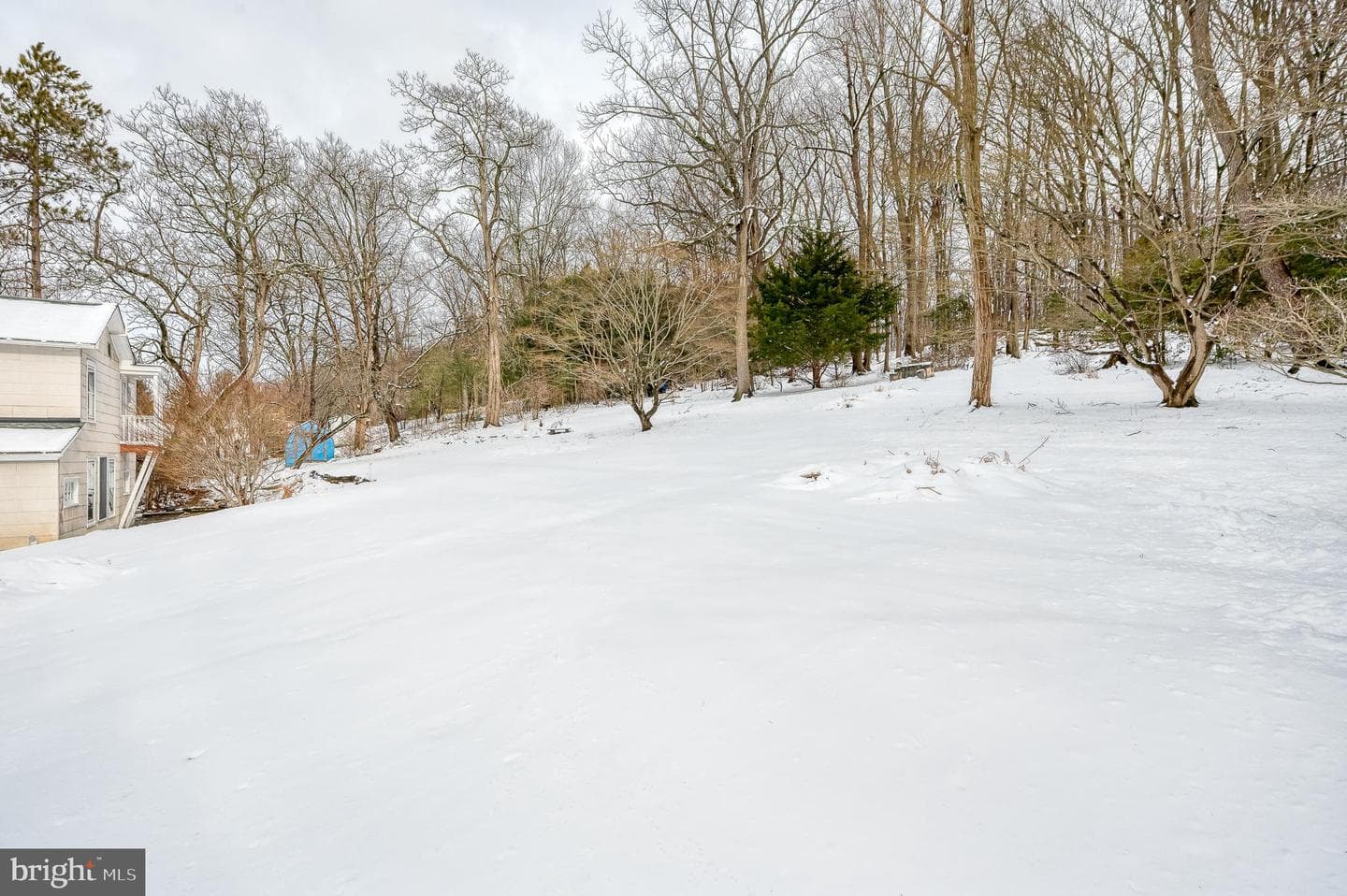 706 Chestnut Street photo 73