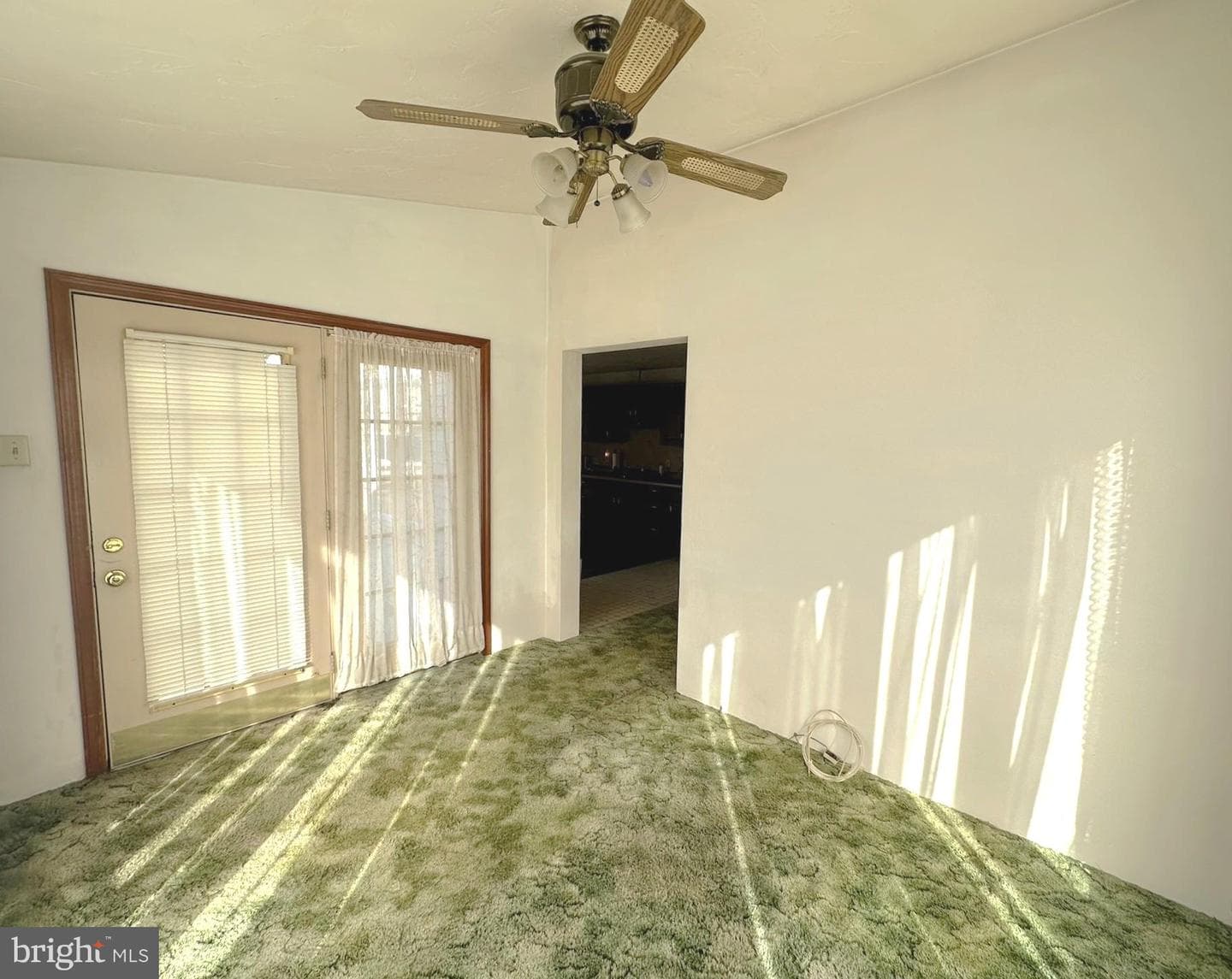 226 Moul Avenue photo 23