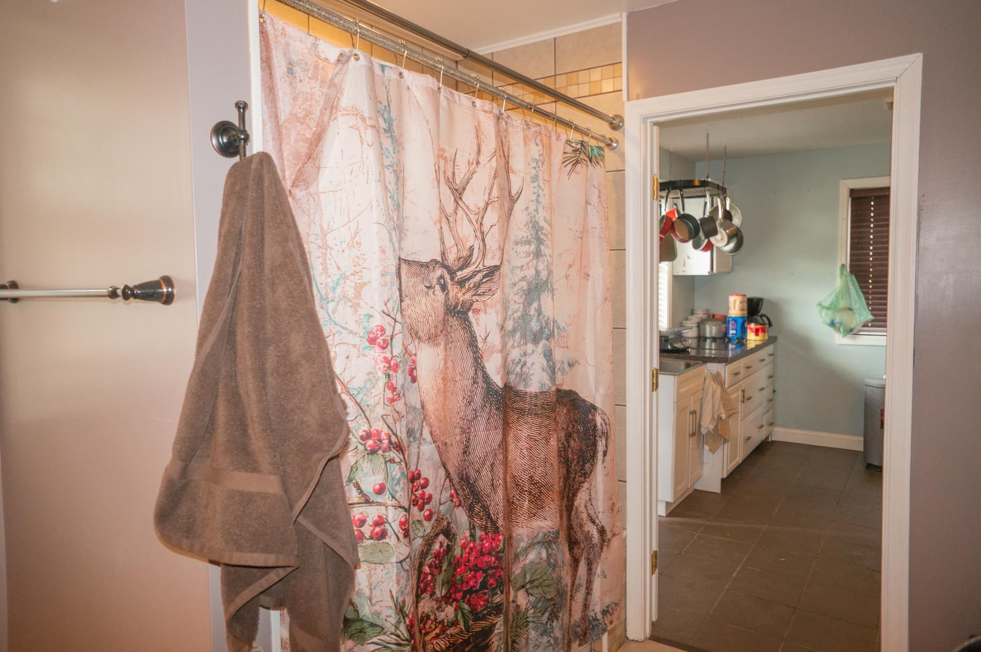 14803 Mt Olivet Road photo 18