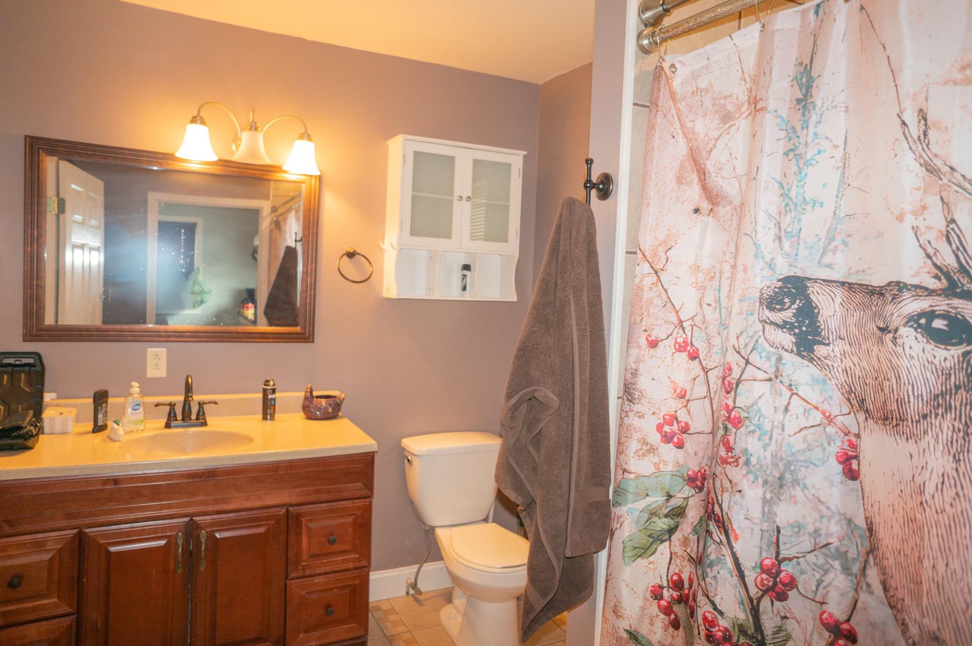 14803 Mt Olivet Road photo 19