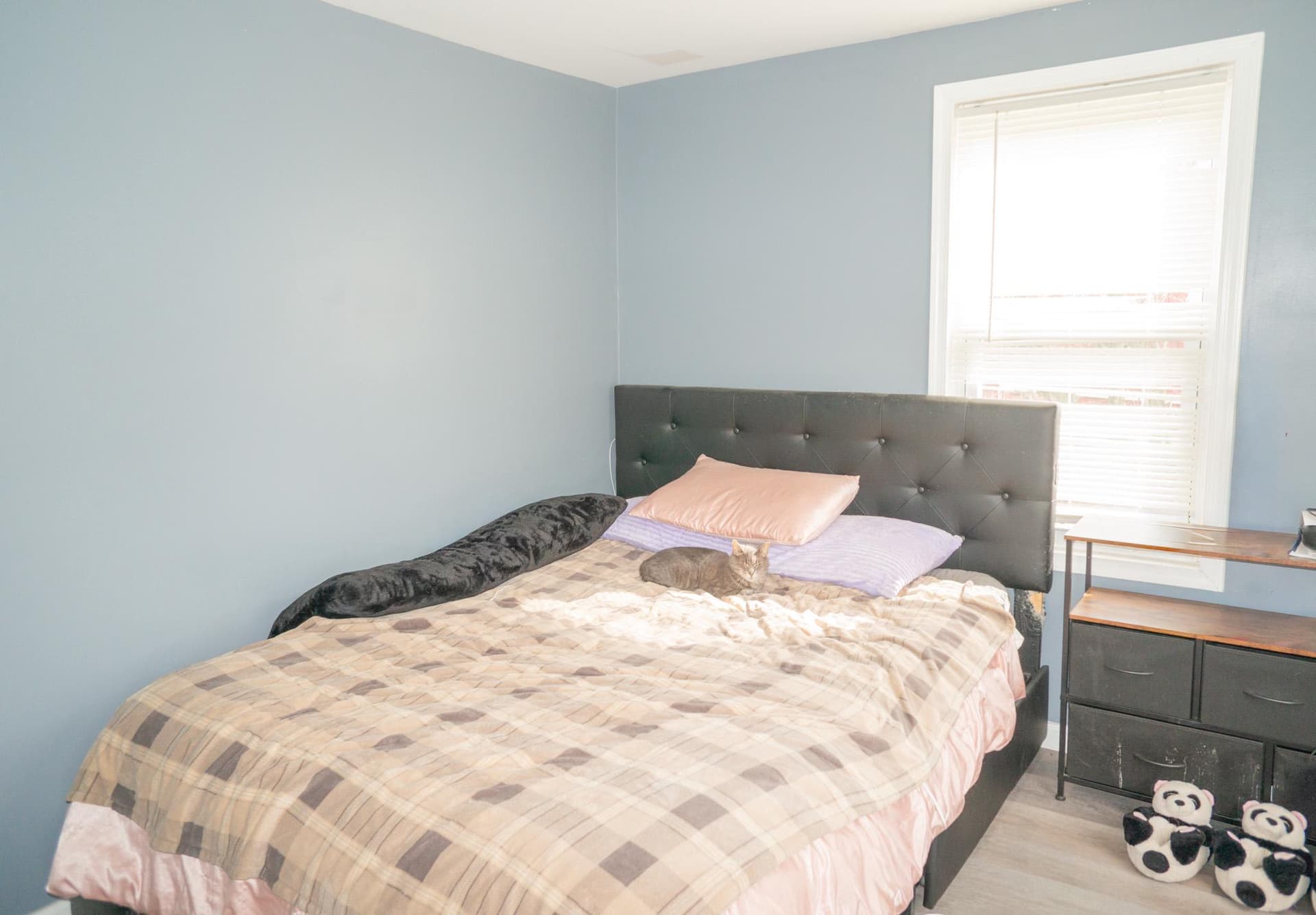 14803 Mt Olivet Road photo 27
