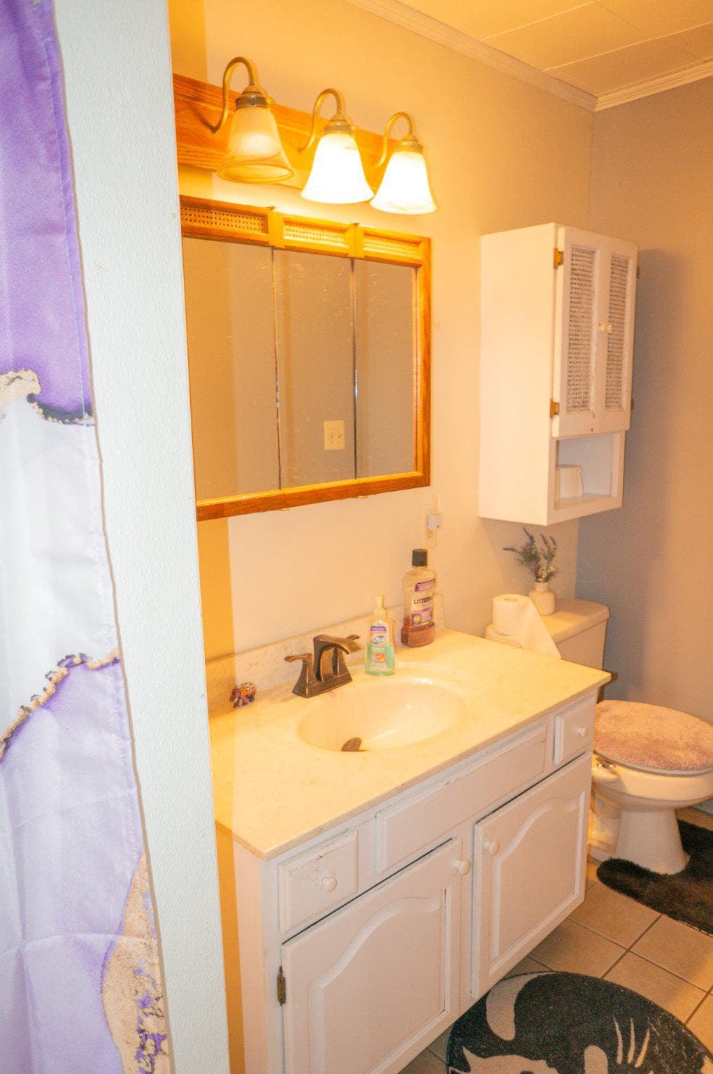 14803 Mt Olivet Road photo 37