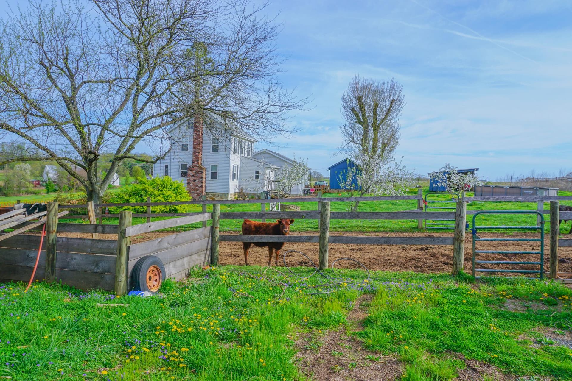 14803 Mt Olivet Road photo 4