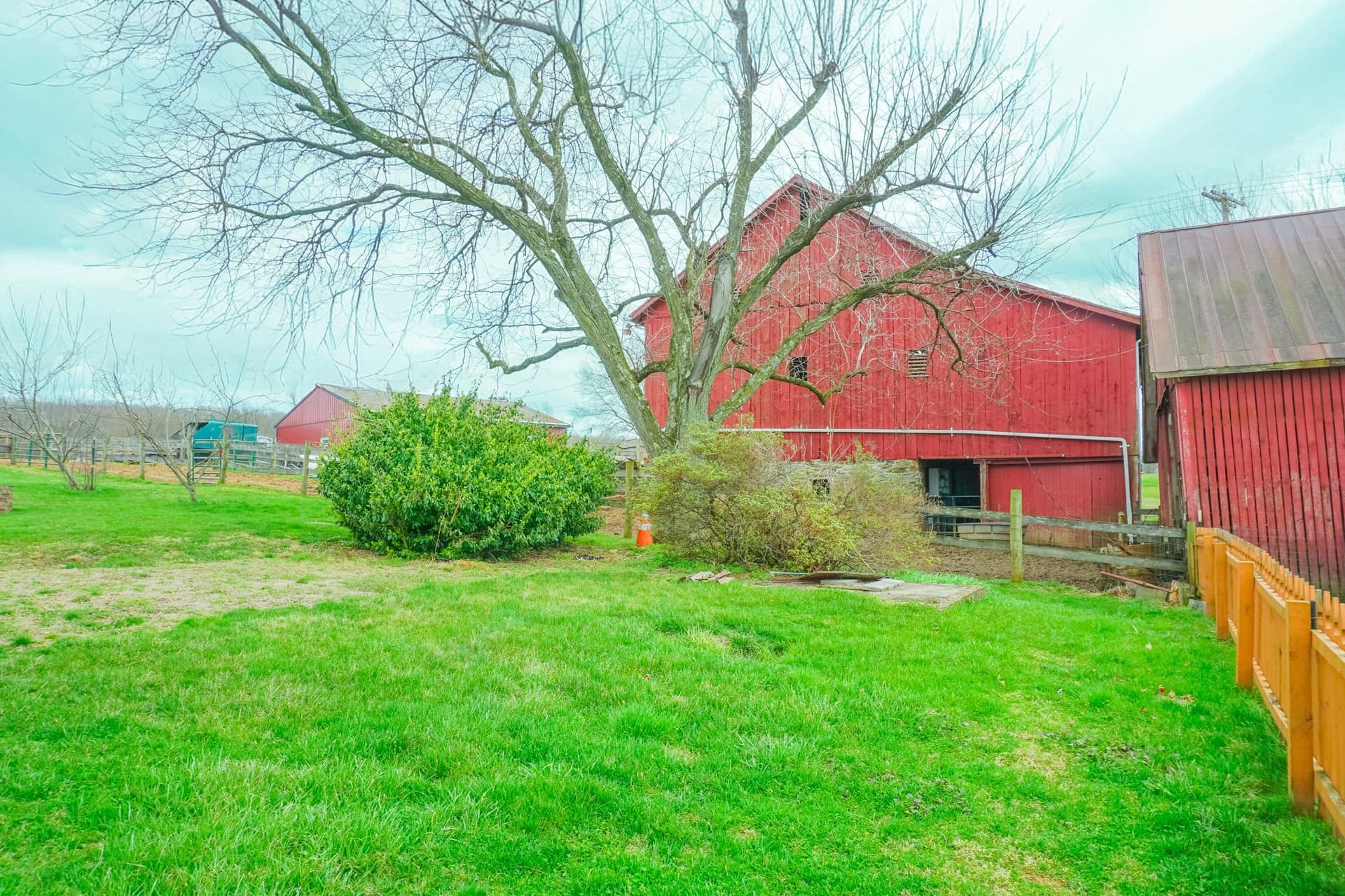 14803 Mt Olivet Road photo 49