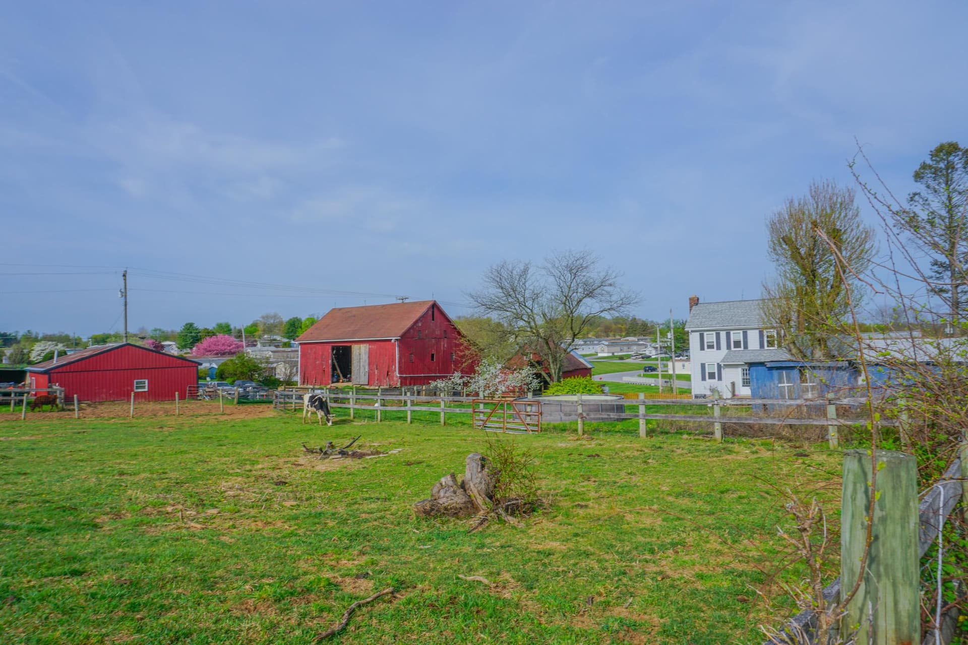 14803 Mt Olivet Road photo 56