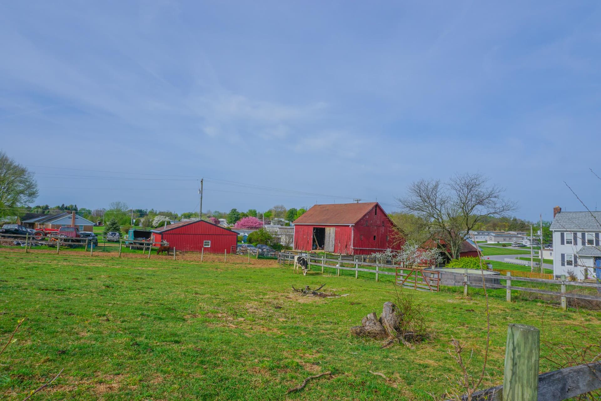14803 Mt Olivet Road photo 57