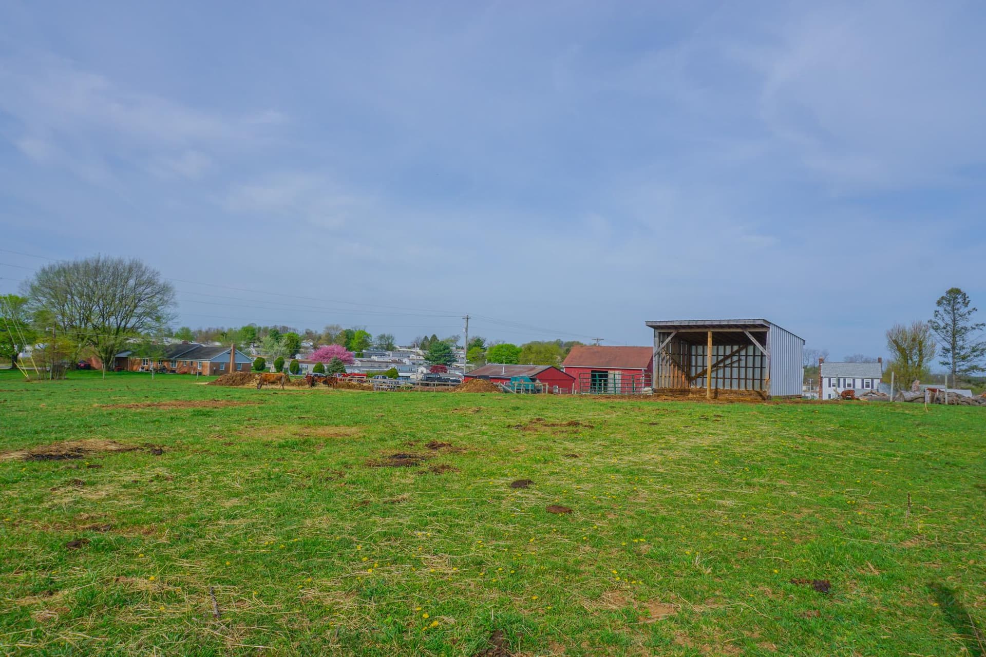 14803 Mt Olivet Road photo 59