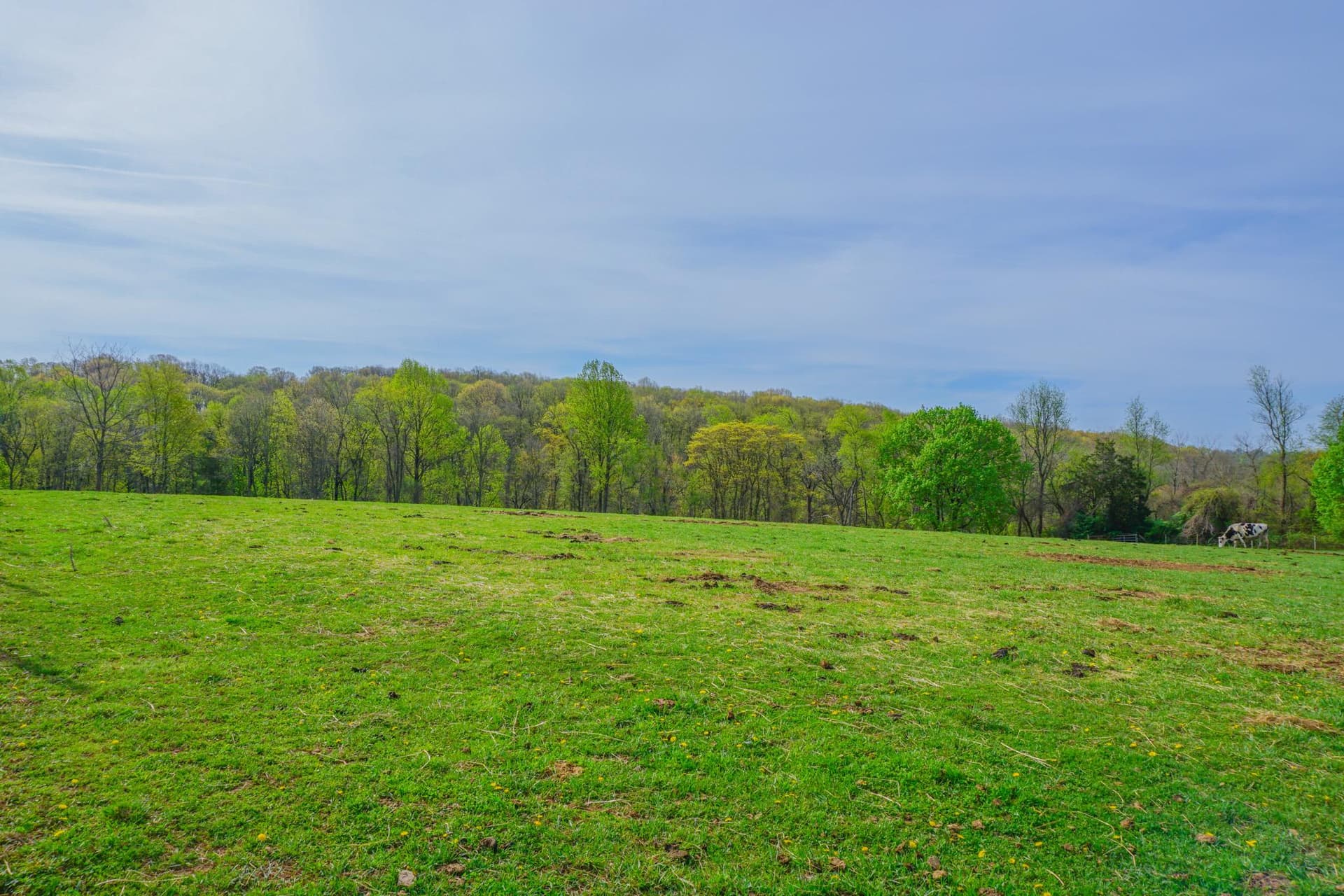 14803 Mt Olivet Road photo 60