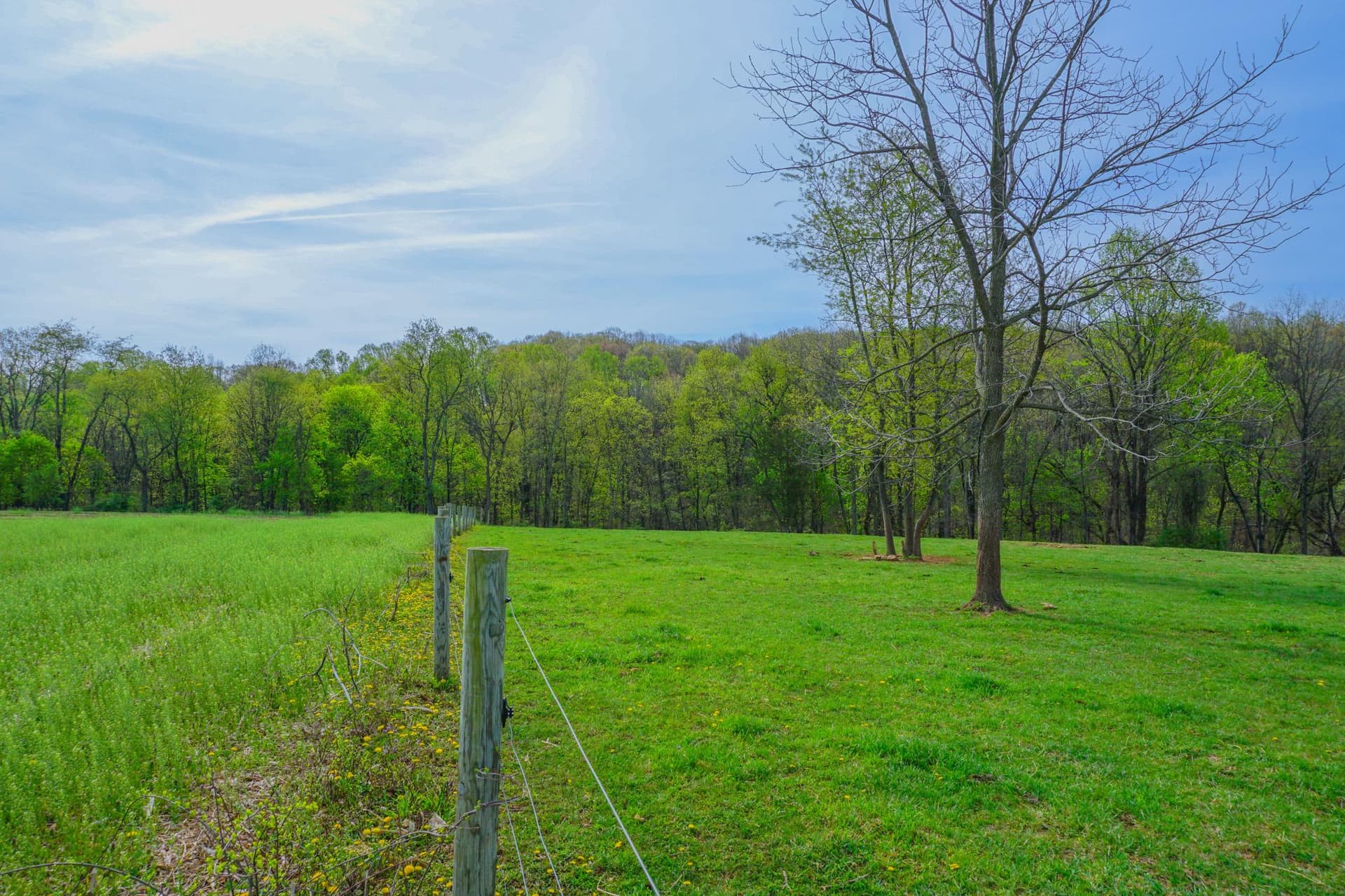 14803 Mt Olivet Road photo 61