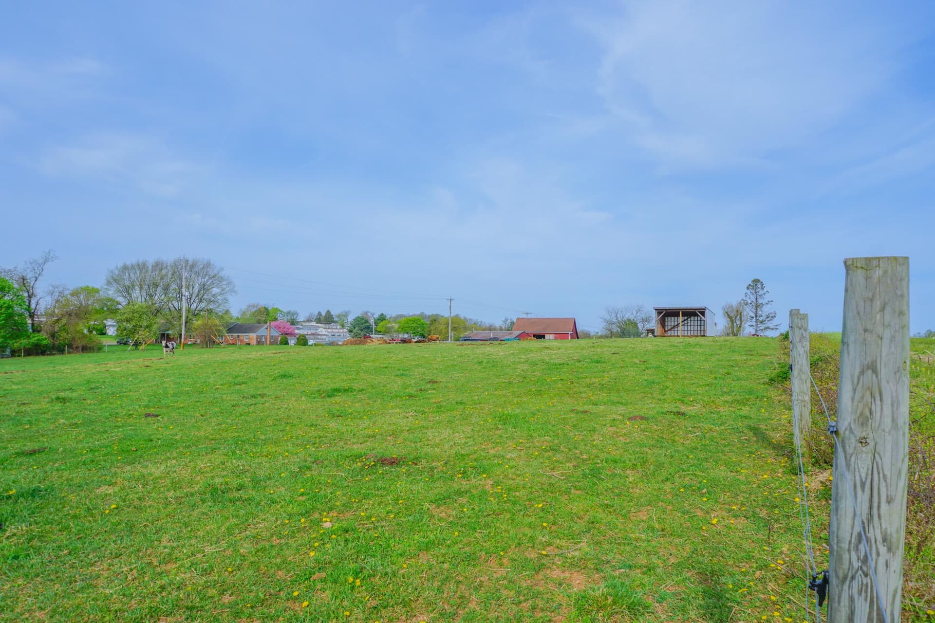 14803 Mt Olivet Road photo 62