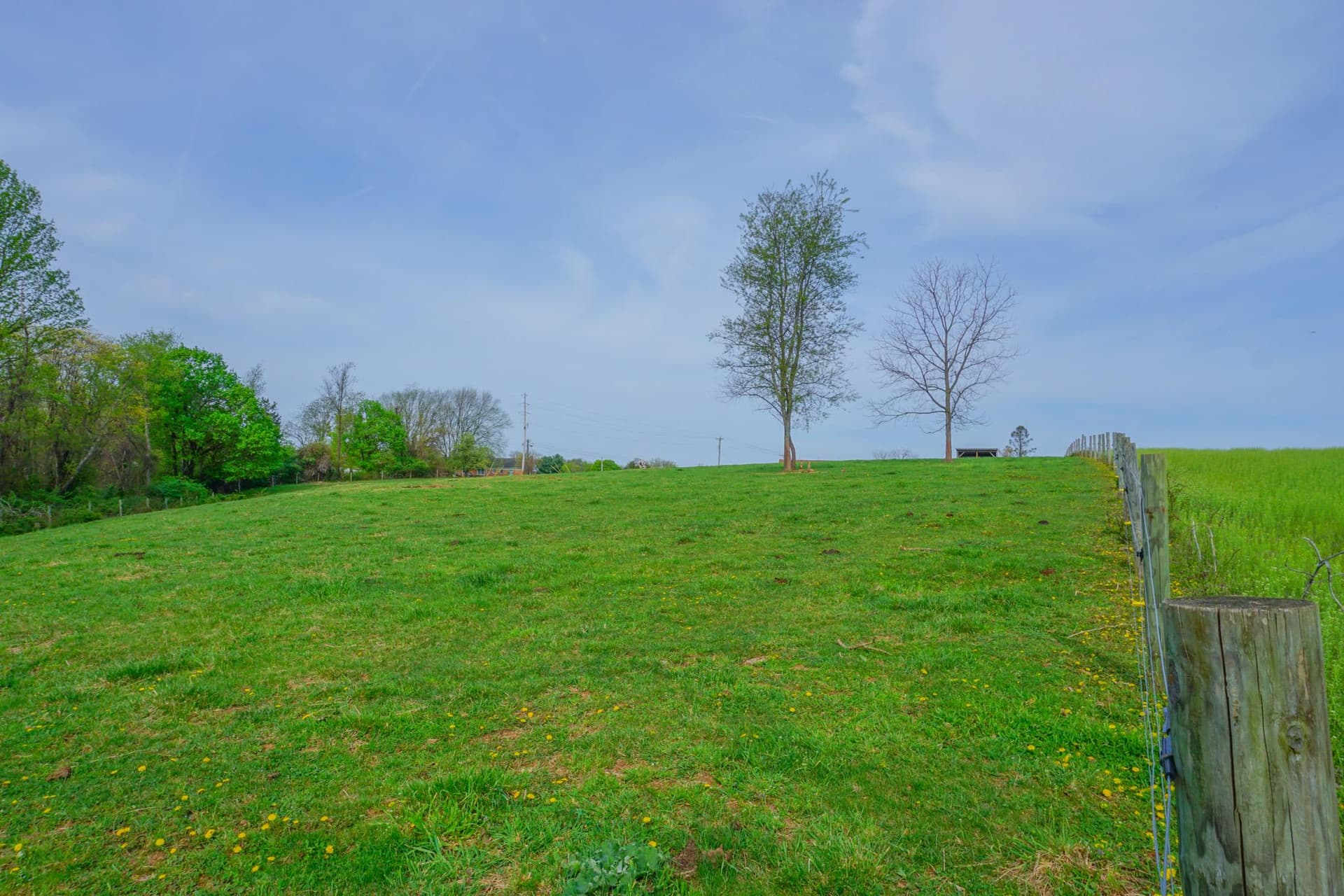 14803 Mt Olivet Road photo 63