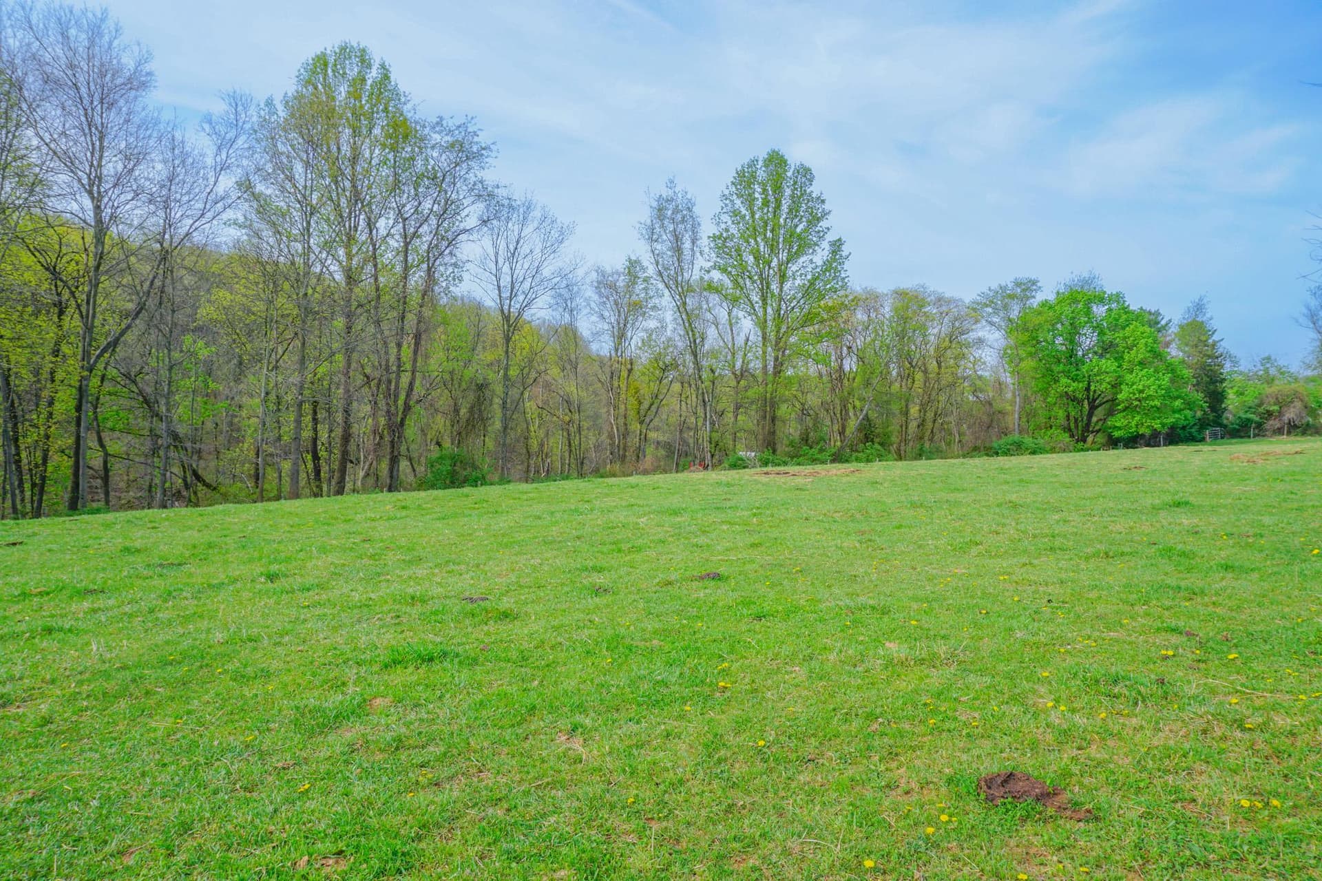 14803 Mt Olivet Road photo 64