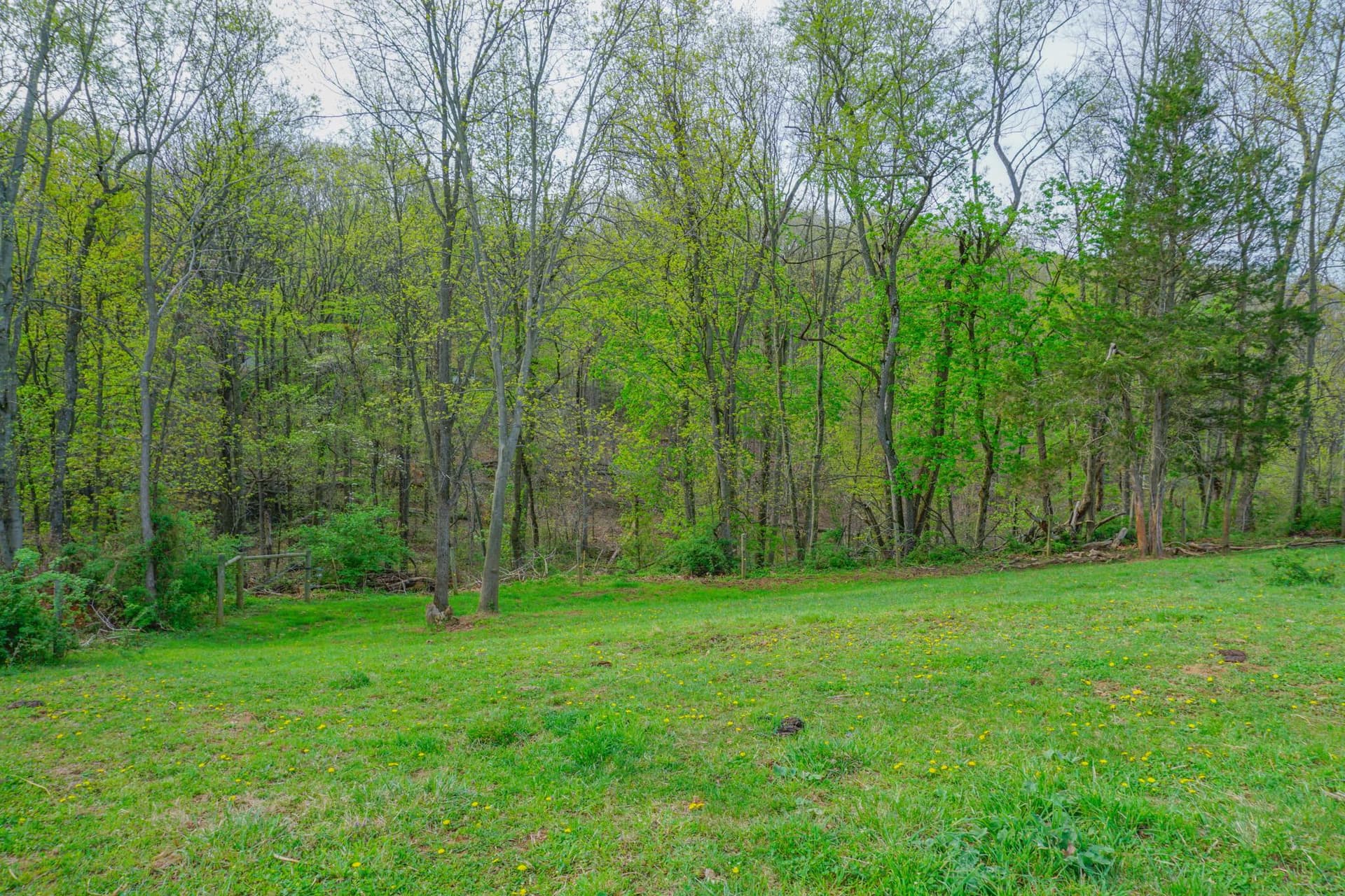 14803 Mt Olivet Road photo 65