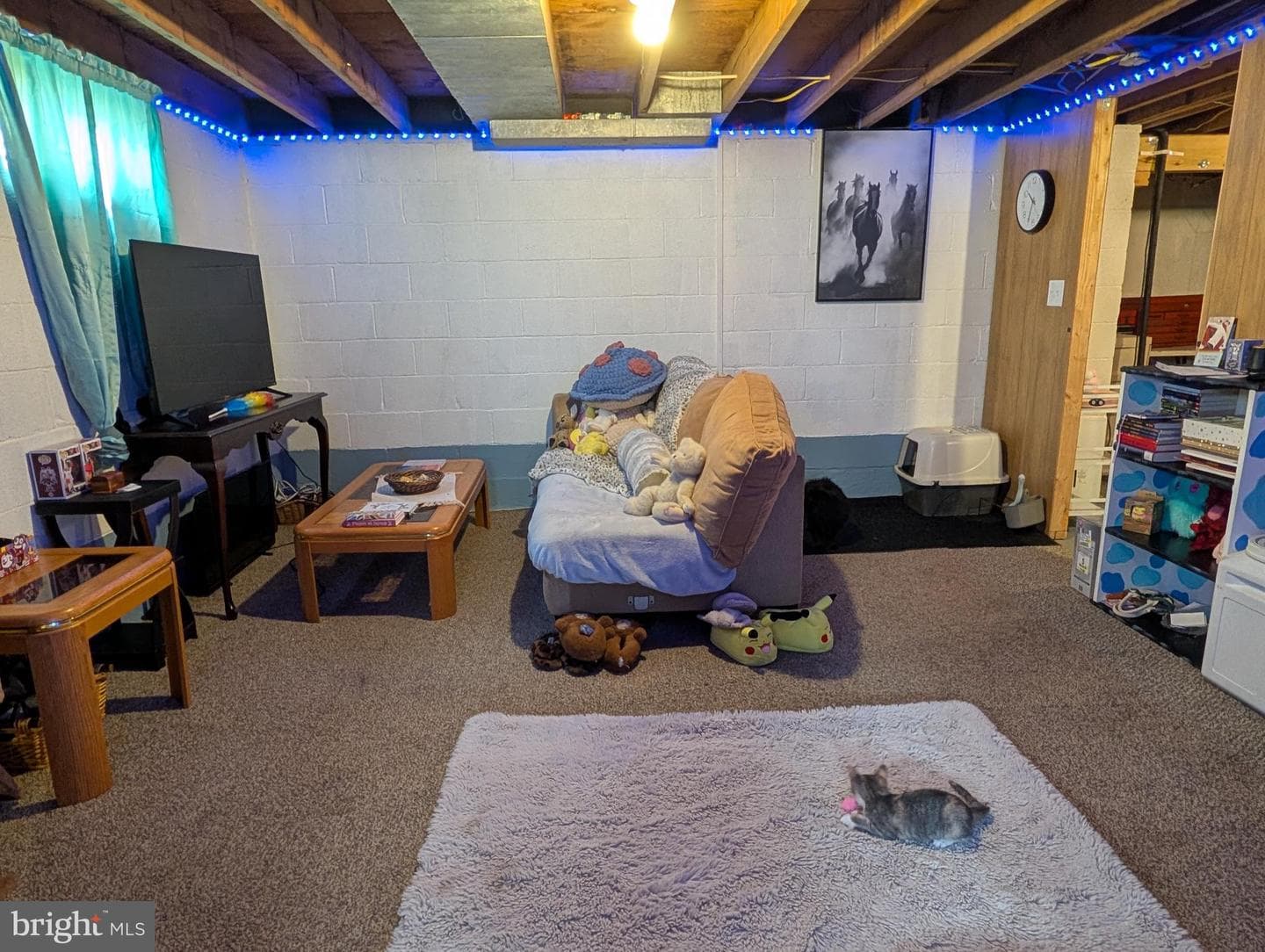 1731 6th Avenue photo 11