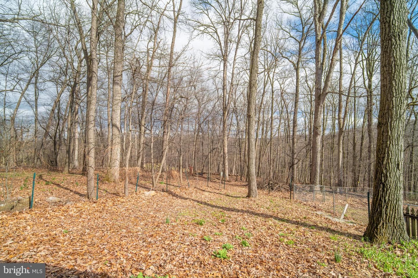 95 Massa Drive photo 5