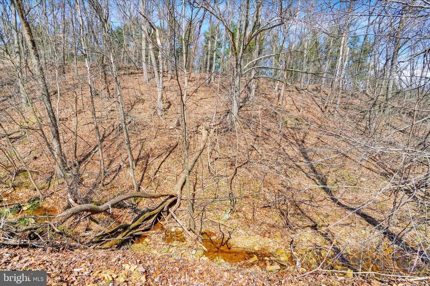 82 Fox Creek Road photo 28