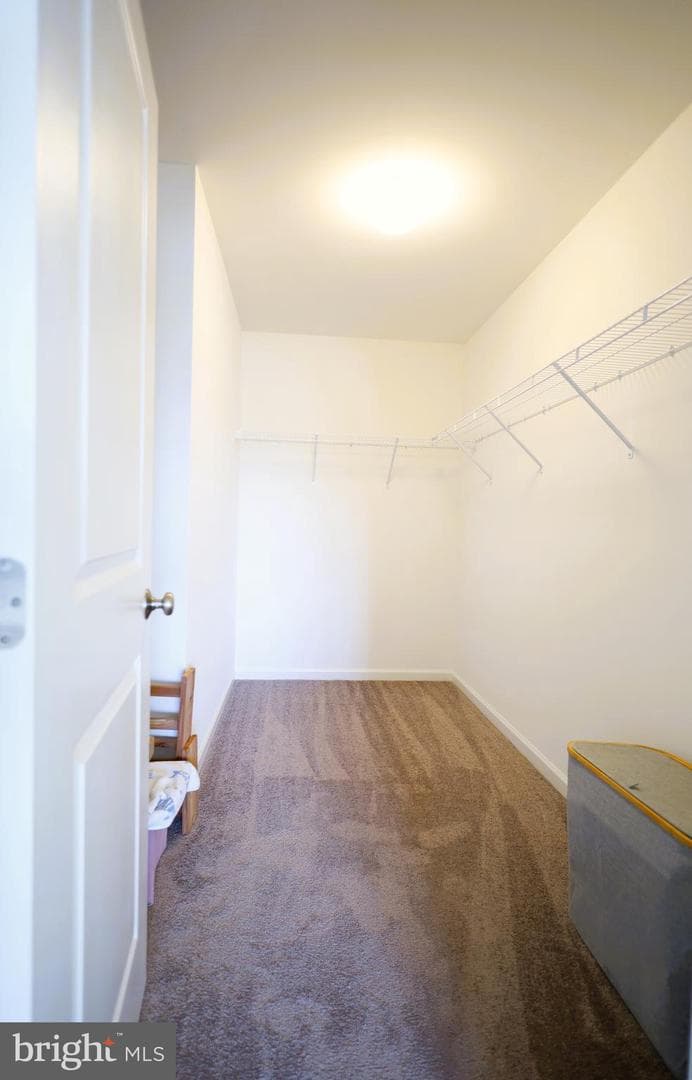 613 Rishel Drive photo 21