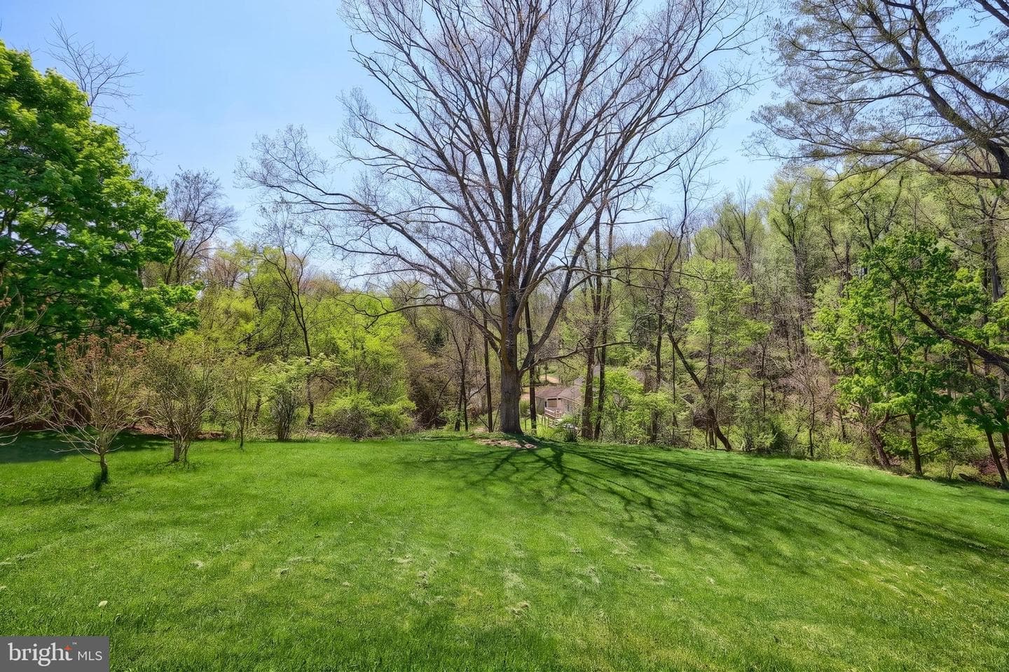 180 Sugar Maple Drive photo 12