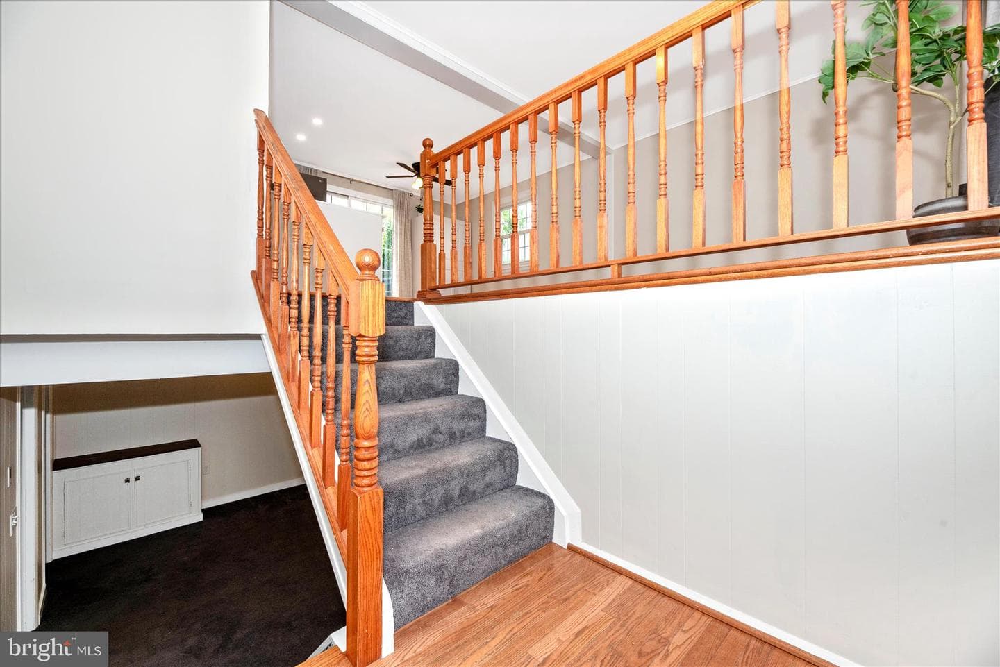 10 Sherman St photo 4