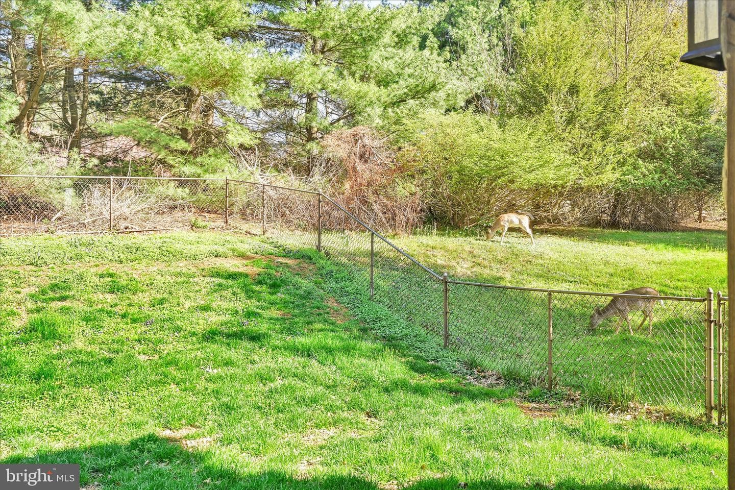 1080 Canadochly Road photo 49