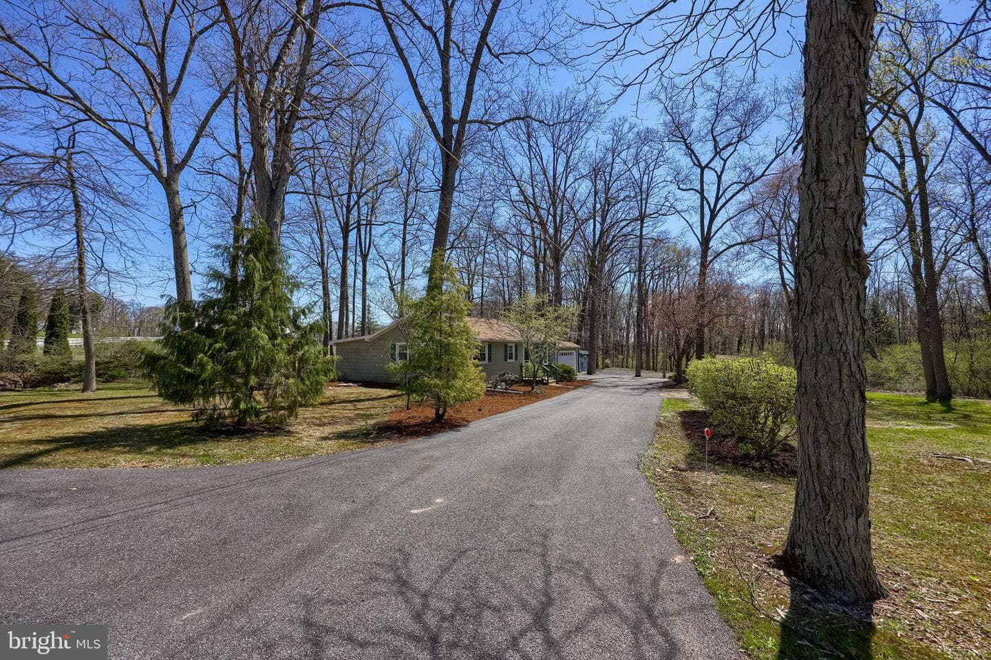1411 S Mountain Road photo 2
