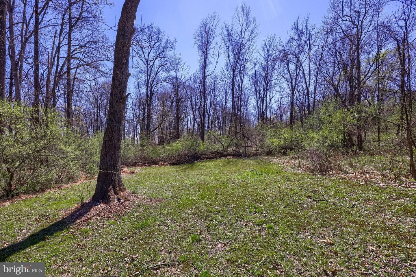 1411 S Mountain Road photo 63