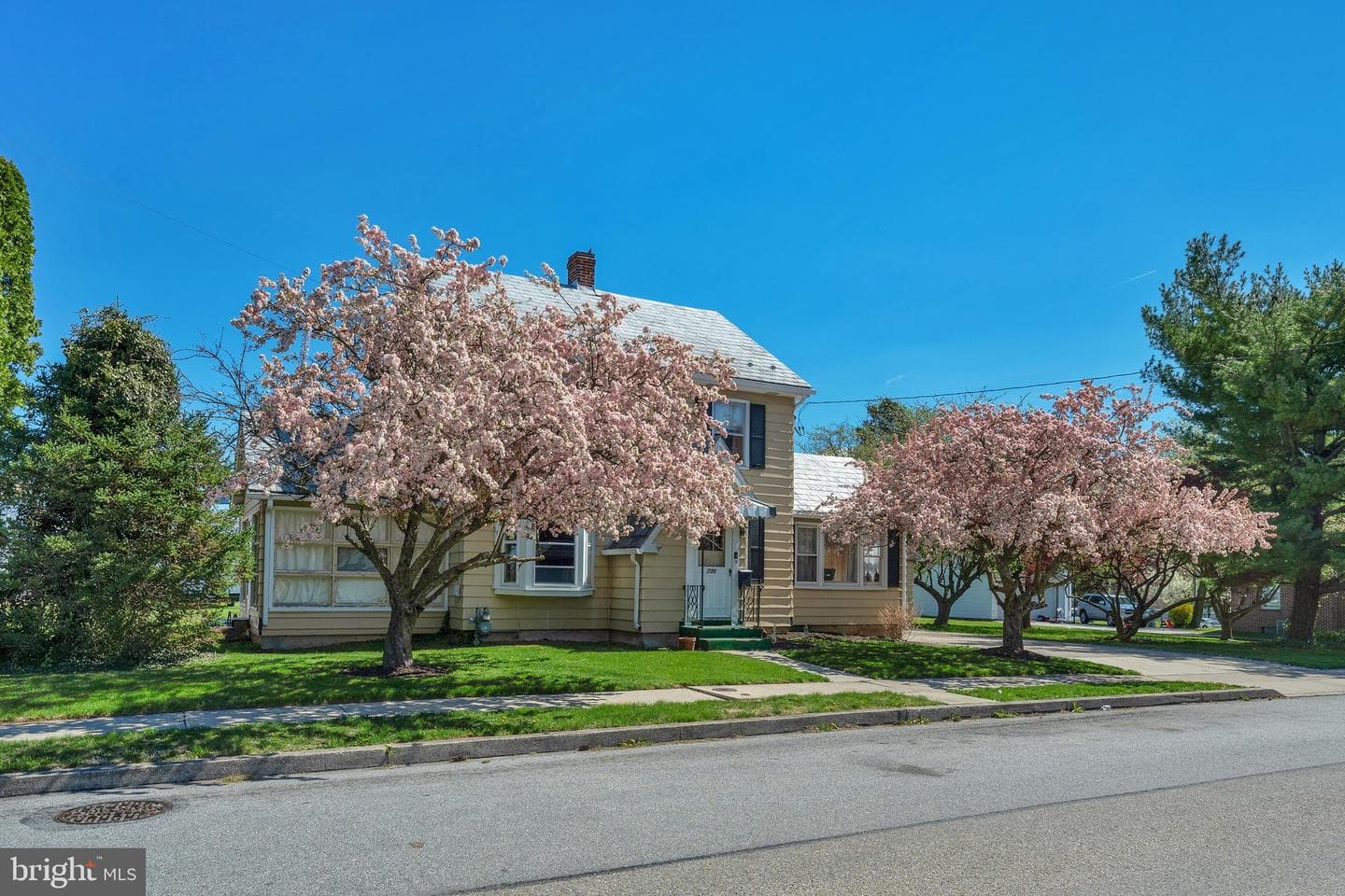 730 Mcallister Street photo 3