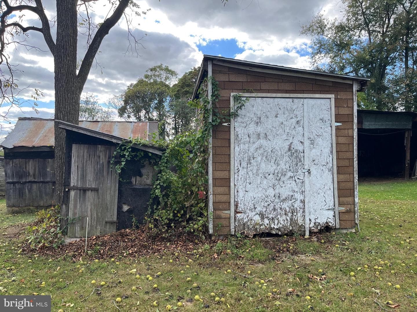 4777 Fiscal Road photo 10