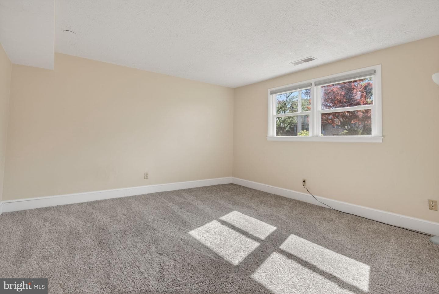 425 Cortleigh photo 24