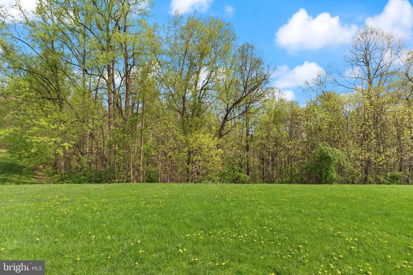 506 Misty Hill Drive photo 34