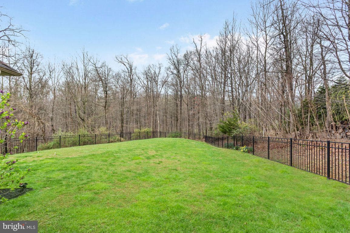 9718 Woodland Drive photo 42