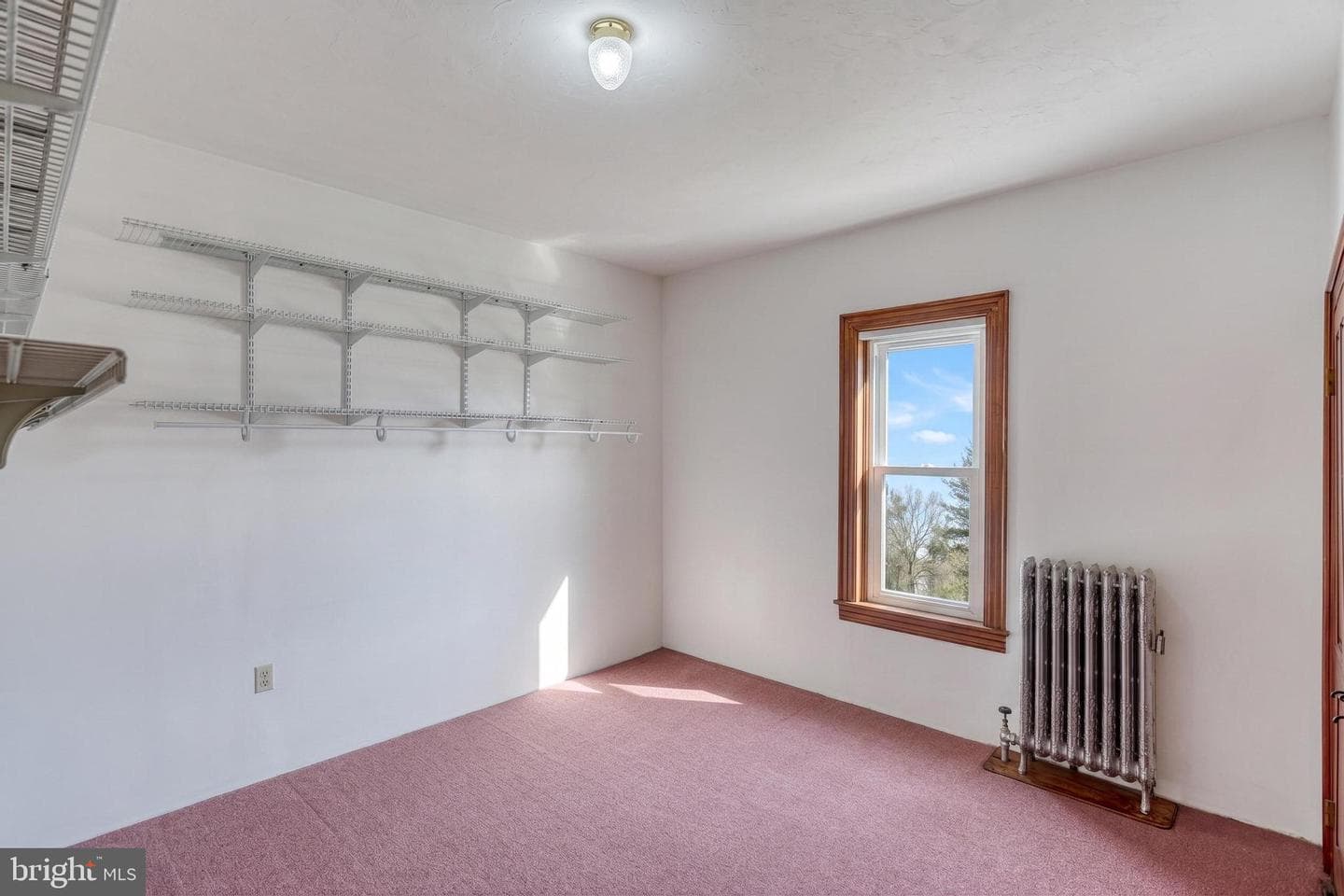 453 Carlisle Street photo 35