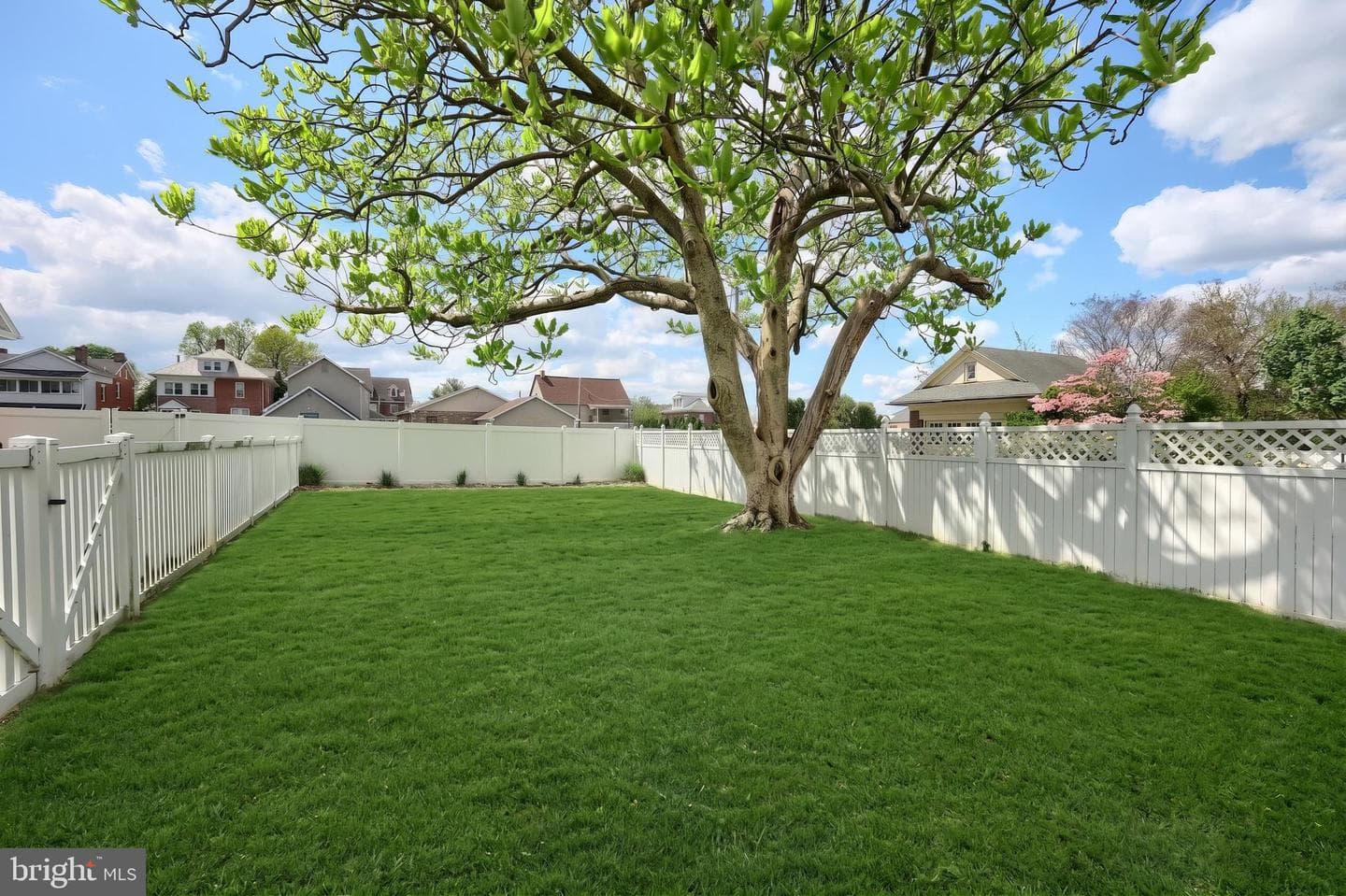 206 Eichelberger Street photo 10