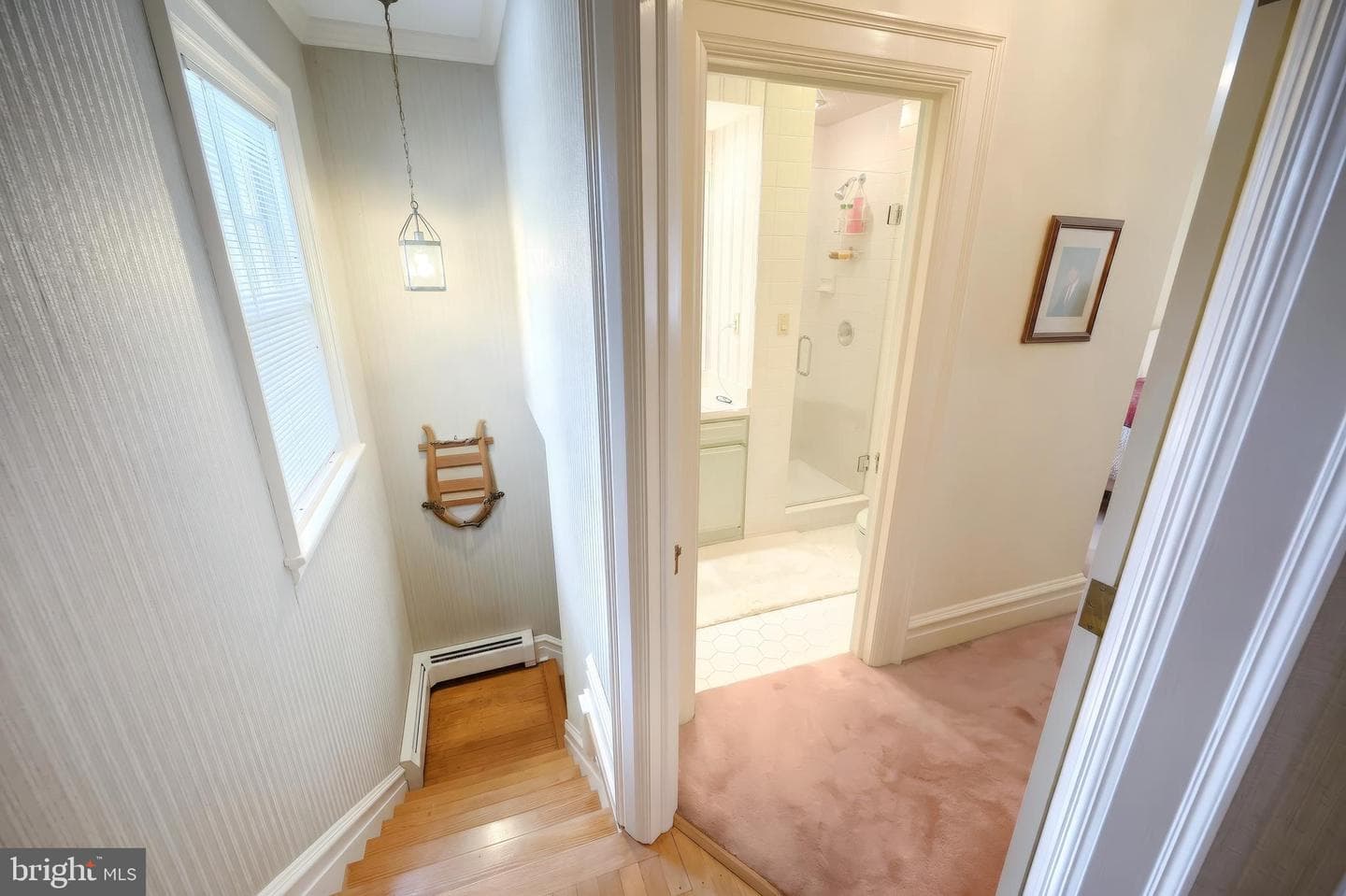 206 Eichelberger Street photo 33