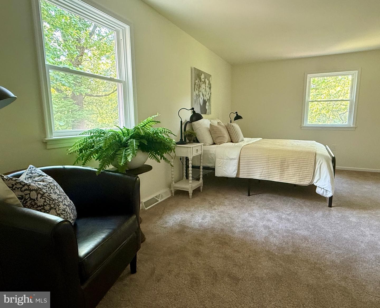 11 Pine Tree Drive photo 37