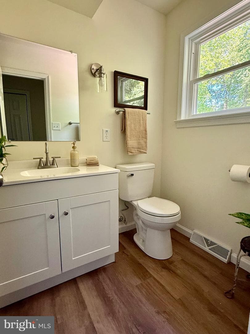 11 Pine Tree Drive photo 39
