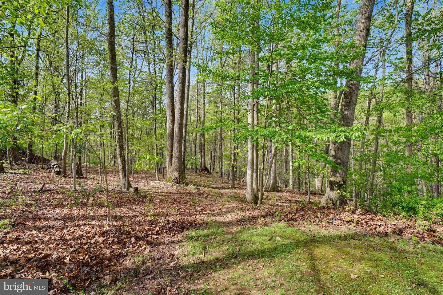 2285 Bremer Road photo 39