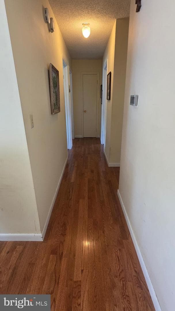 65 Vinton Drive photo 10