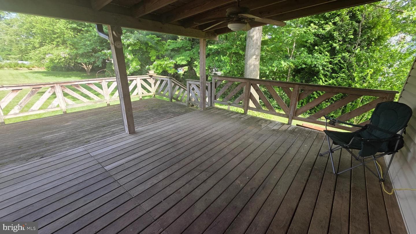 65 Vinton Drive photo 34