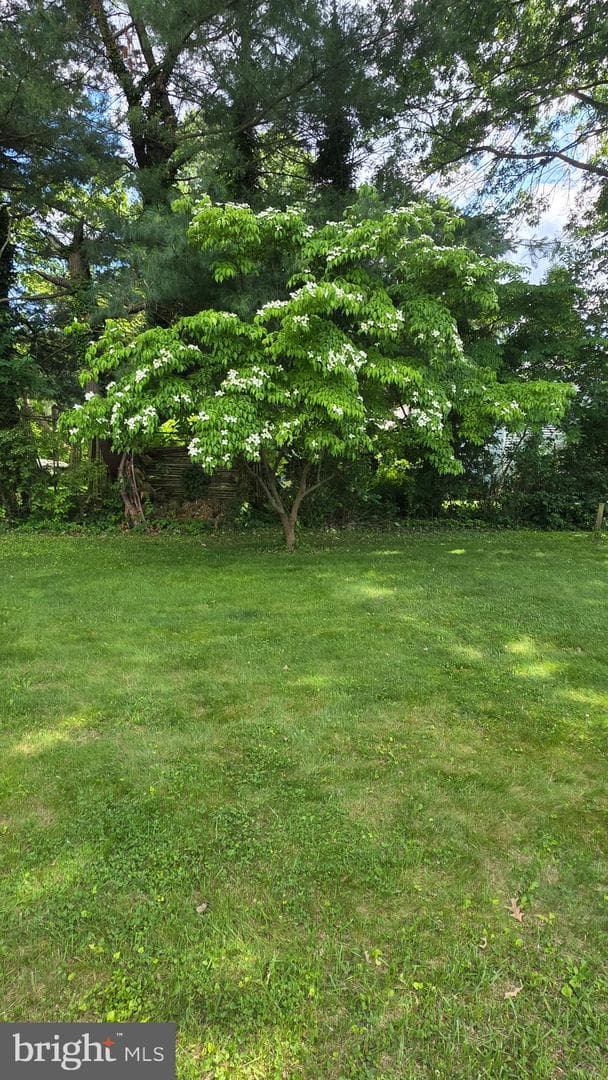 65 Vinton Drive photo 38