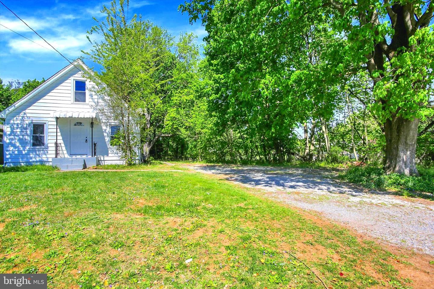 15 Pear Avenue photo 4