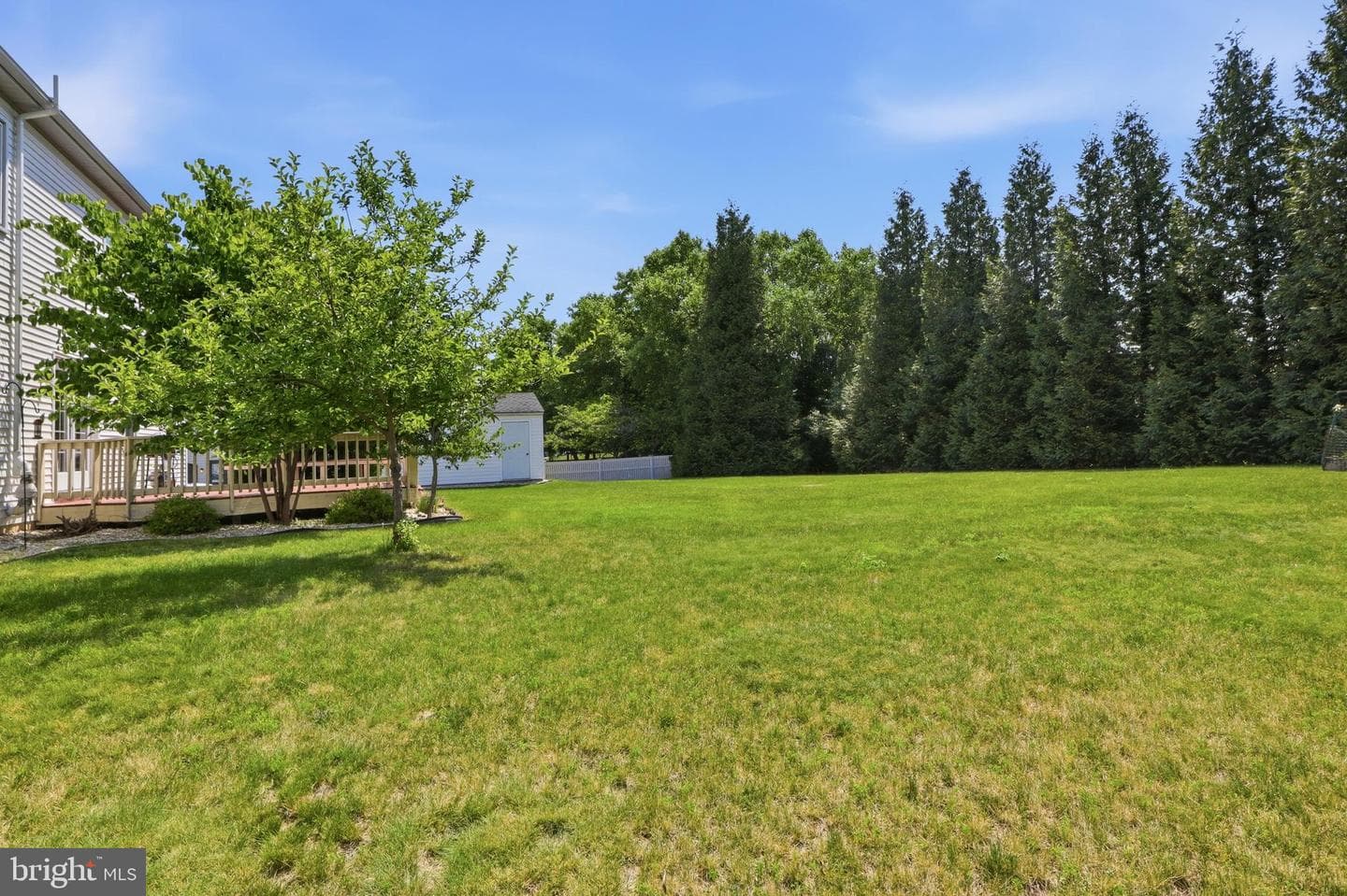 1240 Futurity Drive photo 42