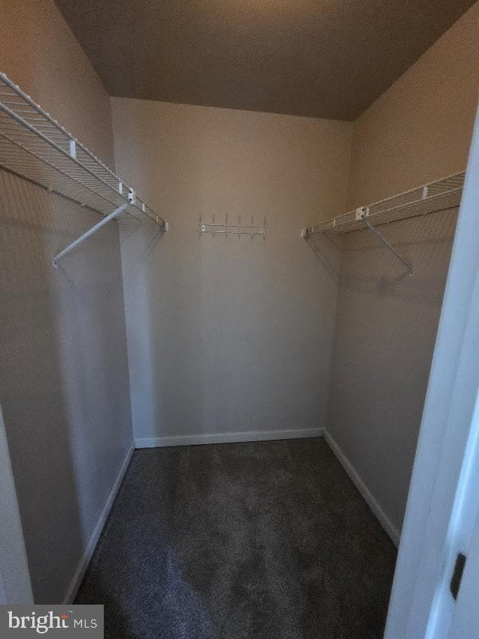 260 White Dogwood Drive photo 32